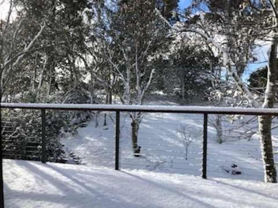 Narrow Neck Views - Peaceful 4 Bedroom Home With Stunning Views! Katoomba Buitenkant foto